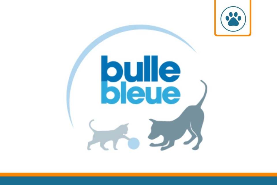 Bulle bleue mutuelle pour chien et chat