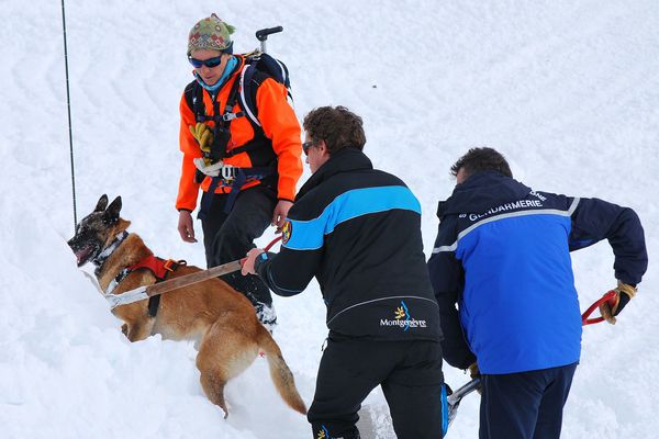 maitre chien effectuant une mission de sauvetage dans la neige