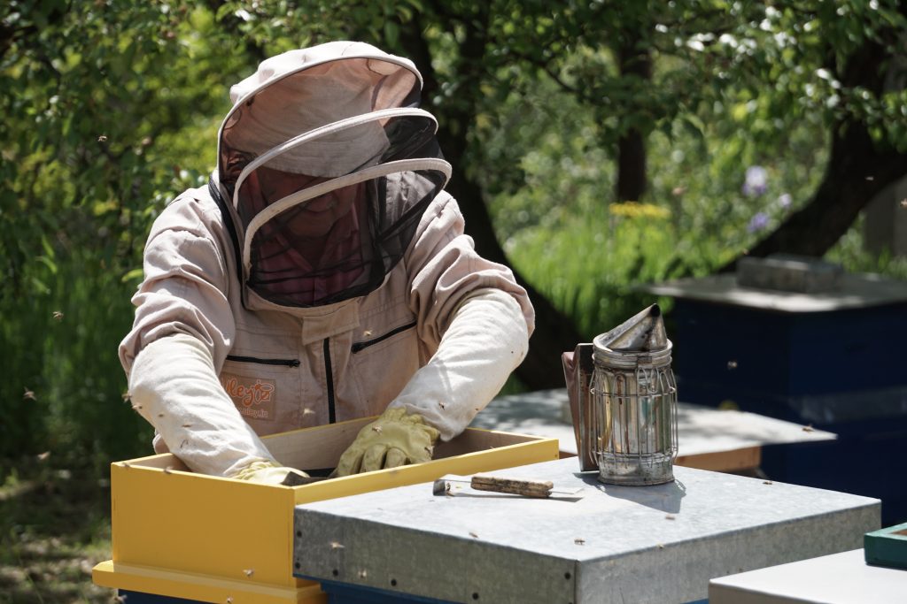 Apiculteur qui travaille sur une ruche