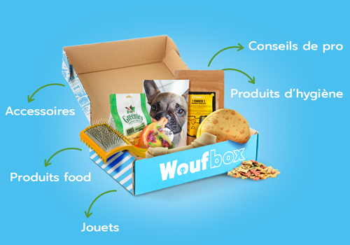 Coffret cadeaux woofbox avec des cadeaux comme une brosse, des friandises et des jouets pour chien